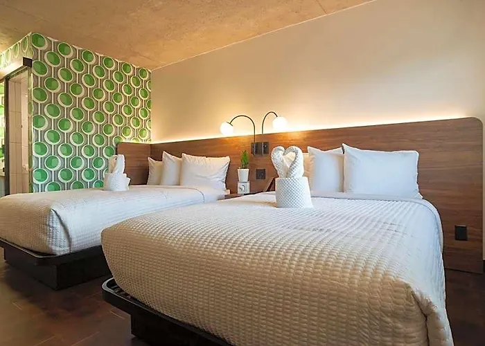 The Alice Hotel Tucson